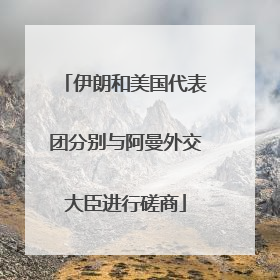 伊朗和美国代表团分别与阿曼外交大臣进行磋商