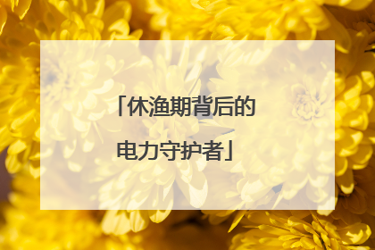 休渔期背后的电力守护者