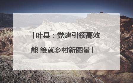 叶县：党建引领高效能 绘就乡村新图景