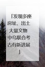 发现多座房址、出土大量文物 中乌联合考古有新进展