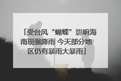 受台风“蝴蝶”影响海南现强降雨 今天部分地区仍有暴雨大暴雨
