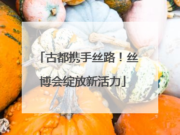 古都携手丝路！丝博会绽放新活力