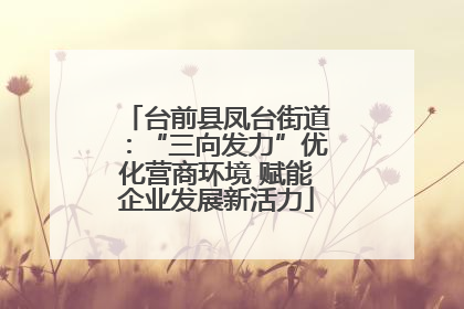 台前县凤台街道：“三向发力”优化营商环境 赋能企业发展新活力