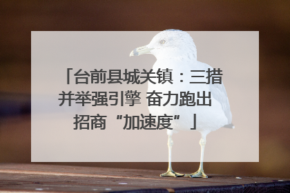 台前县城关镇：三措并举强引擎 奋力跑出招商“加速度”