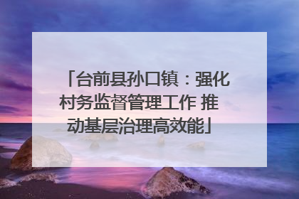 台前县孙口镇：强化村务监督管理工作 推动基层治理高效能