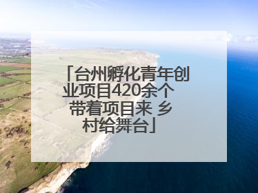 台州孵化青年创业项目420余个 带着项目来 乡村给舞台