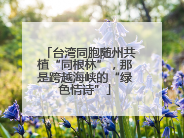 台湾同胞随州共植“同根林”，那是跨越海峡的“绿色情诗”