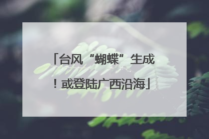 台风“蝴蝶”生成！或登陆广西沿海