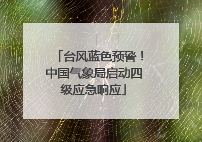 台风蓝色预警！中国气象局启动四级应急响应