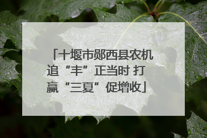 十堰市郧西县农机追“丰”正当时 打赢“三夏”促增收