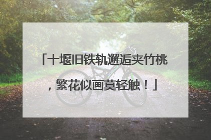 十堰旧铁轨邂逅夹竹桃，繁花似画莫轻触！