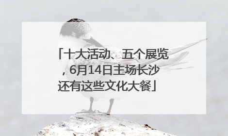 十大活动、五个展览，6月14日主场长沙还有这些文化大餐
