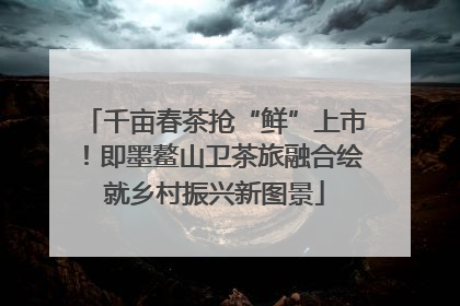 千亩春茶抢“鲜”上市！即墨鳌山卫茶旅融合绘就乡村振兴新图景