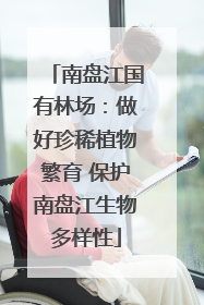 南盘江国有林场：做好珍稀植物繁育 保护南盘江生物多样性