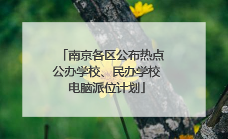 南京各区公布热点公办学校、民办学校电脑派位计划