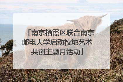 南京栖霞区联合南京邮电大学启动校地艺术共创主题月活动