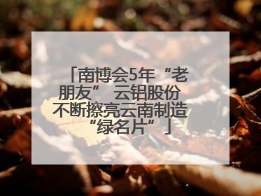南博会5年“老朋友” 云铝股份不断擦亮云南制造“绿名片”