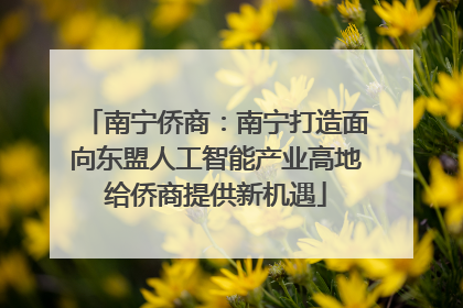 南宁侨商：南宁打造面向东盟人工智能产业高地给侨商提供新机遇
