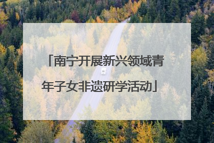 南宁开展新兴领域青年子女非遗研学活动