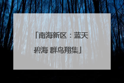 南海新区：蓝天碧海 群鸟翔集