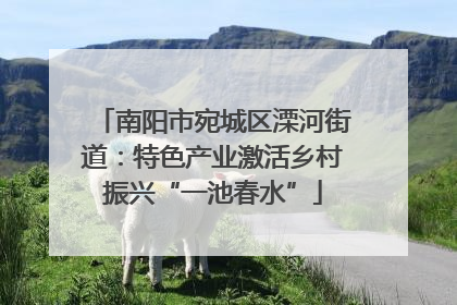 南阳市宛城区溧河街道：特色产业激活乡村振兴“一池春水”