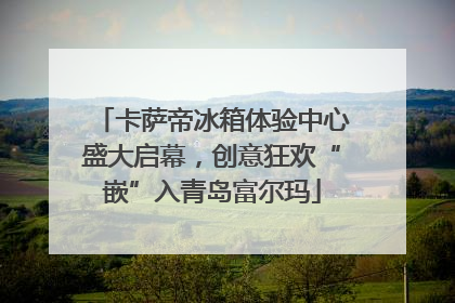 卡萨帝冰箱体验中心盛大启幕，创意狂欢“嵌”入青岛富尔玛
