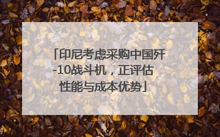 印尼考虑采购中国歼-10战斗机，正评估性能与成本优势