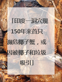 印度一洞穴现150年来首只濒危椰子蟹，或因被椰子和垃圾吸引