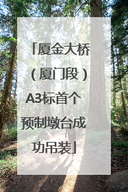 厦金大桥（厦门段）A3标首个预制墩台成功吊装