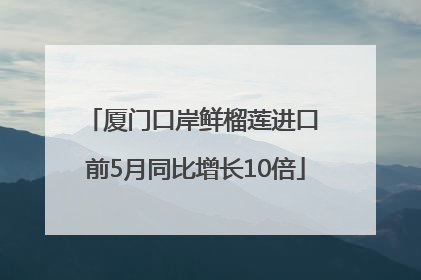 厦门口岸鲜榴莲进口 前5月同比增长10倍