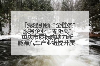 党建引领“全链条” 服务企业“零距离” 重庆市质标院助力新能源汽车产业链提升质量管理水平