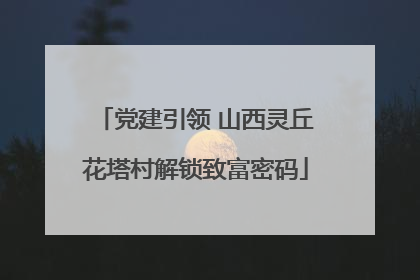 党建引领 山西灵丘花塔村解锁致富密码