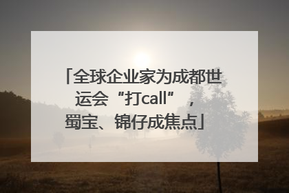 全球企业家为成都世运会“打call”，蜀宝、锦仔成焦点