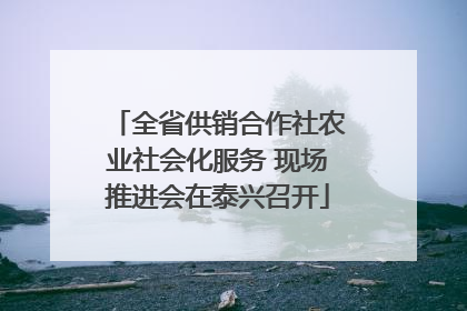 全省供销合作社农业社会化服务 现场推进会在泰兴召开