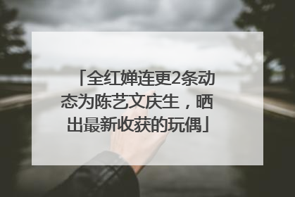 全红婵连更2条动态为陈艺文庆生，晒出最新收获的玩偶