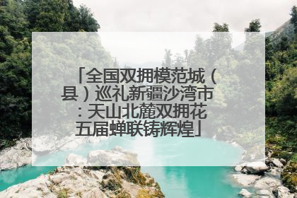 全国双拥模范城（县）巡礼新疆沙湾市：天山北麓双拥花 五届蝉联铸辉煌