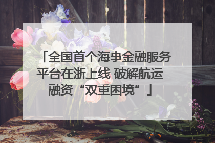 全国首个海事金融服务平台在浙上线 破解航运融资“双重困境”