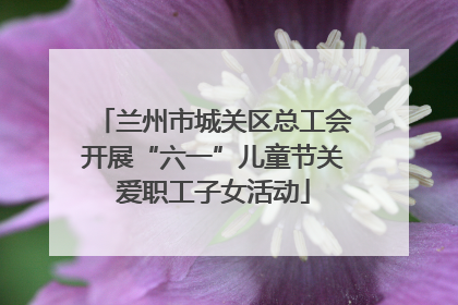 兰州市城关区总工会开展“六一”儿童节关爱职工子女活动