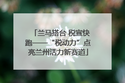 兰马搭台 税宣快跑——“税动力”点亮兰州活力新赛道
