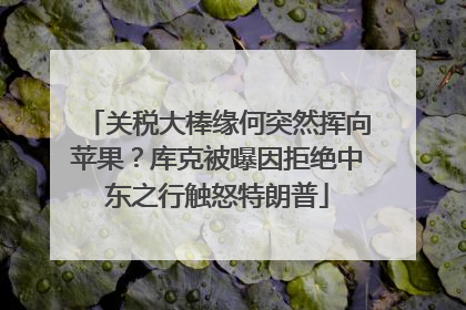 关税大棒缘何突然挥向苹果？库克被曝因拒绝中东之行触怒特朗普