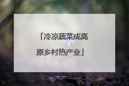 冷凉蔬菜成高原乡村热产业