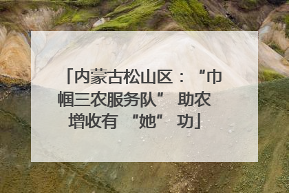 内蒙古松山区：“巾帼三农服务队” 助农增收有 “她” 功