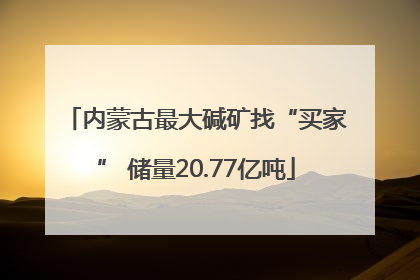 内蒙古最大碱矿找“买家” 储量20.77亿吨