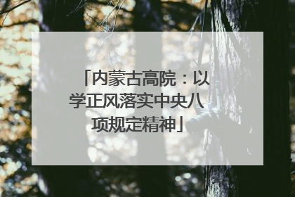 内蒙古高院：以学正风落实中央八项规定精神