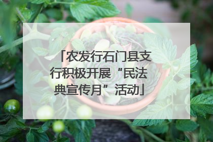 农发行石门县支行积极开展“民法典宣传月”活动