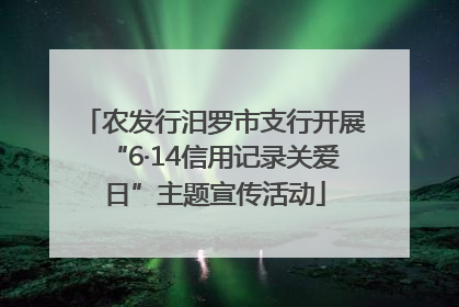 农发行汨罗市支行开展“6·14信用记录关爱日”主题宣传活动