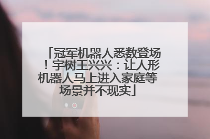 冠军机器人悉数登场！宇树王兴兴：让人形机器人马上进入家庭等场景并不现实
