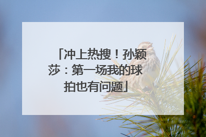 冲上热搜！孙颖莎：第一场我的球拍也有问题