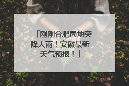 刚刚合肥局地突降大雨！安徽最新天气预报！