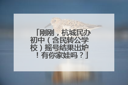 刚刚，杭城民办初中（含民转公学校）摇号结果出炉！有你家娃吗？